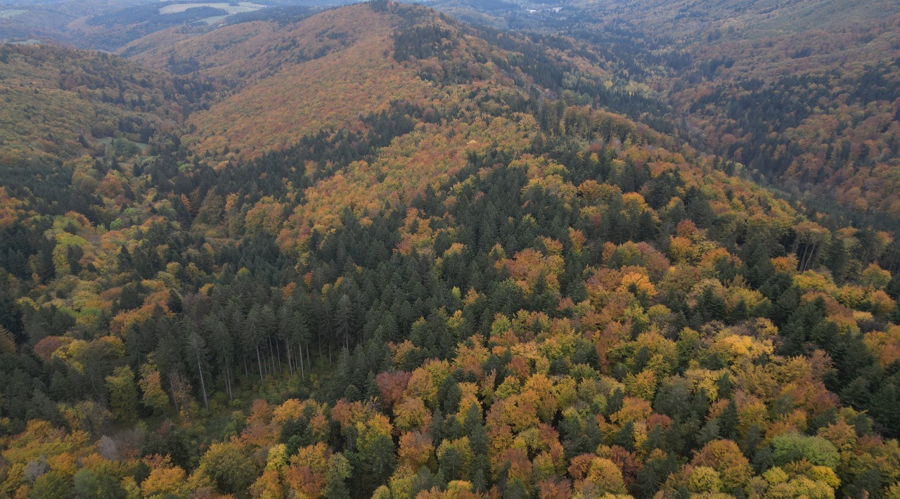 Urbárska spoločnosť obce Badín, pozemkové spoločenstvo